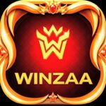 WINZAA APK